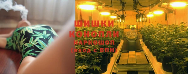 каннабис Аркадак