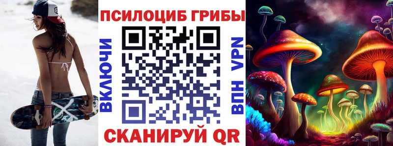 Псилоцибиновые грибы Psilocybe  гидра   Сосновка  купить  цена 